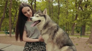Çekici bir sarışın kadın parkta safkan Sibiryalı Husky Köpeğiyle oynuyor.