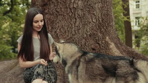 Een aantrekkelijke jonge blonde vrouw voedt voedsel gefokte Siberische Husky hond in het park — Stockvideo