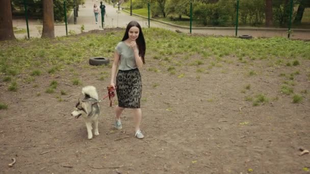 Una atractiva joven rubia pasea con perro Husky siberiano de pura raza en el parque — Vídeos de Stock