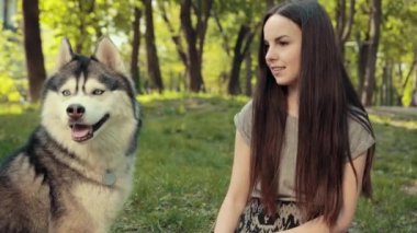 Çekici bir sarışın kadın parkta safkan Sibiryalı Husky Köpeğiyle oynuyor.