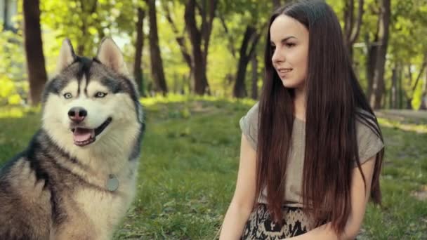 一个迷人的年轻金发女子在公园里与纯洁的西伯利亚哈士奇犬玩耍 — 图库视频影像