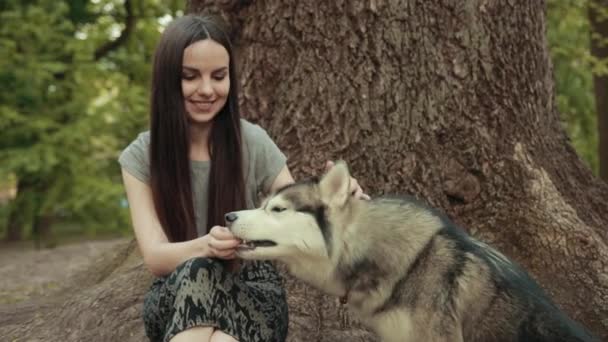 Çekici Sarışın Kadın, Saf Sibirya Köpeği Parkta Besliyor — Stok video