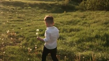 Güneşli tarlada çiçek buketi toplayan mutlu çocuk, aile yürüyüşü ilkbaharda