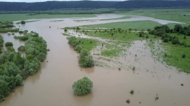 Πλημμυρισμένος δρόμος δυνατή βροχή πλημμύρες που λαμβάνονται κατά τη διάρκεια της πτήσης drone ξεχειλίζει ποτάμι — Αρχείο Βίντεο