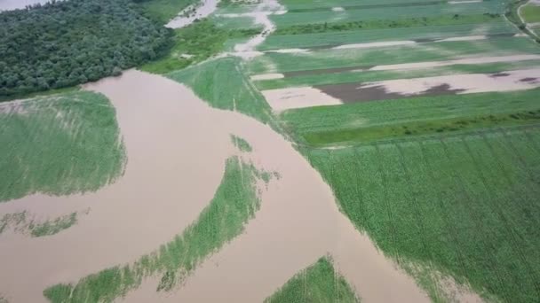 Banjir di jalan, banjir besar yang terjadi selama penerbangan pesawat tak berawak meluap di sungai — Stok Video