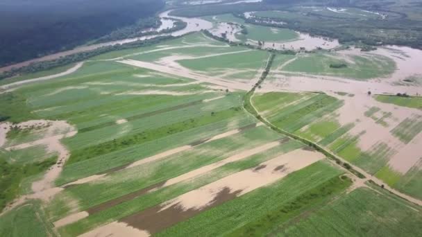 Overstroomde weg zware regenval genomen tijdens drone vlucht overstromende rivier — Stockvideo