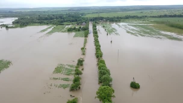 Flooded road heavy rain flooding taken during drone flight overflowing river — Stock Video