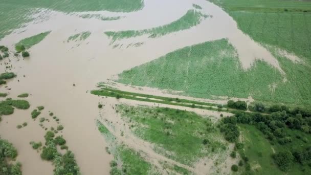 Overstroomde weg zware regenval genomen tijdens drone vlucht overstromende rivier — Stockvideo