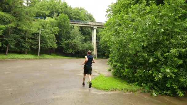 Árbol cayó parque de la ciudad camino de asfalto de verano, ramas destrozadas a través de la ruta — Vídeos de Stock