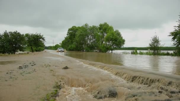 Coches que conducen por carretera inundada durante una inundación causada por fuertes lluvias, agua de lluvia — Vídeo de stock