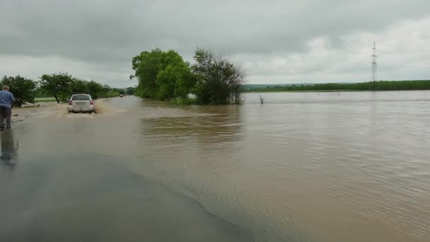 Voitures conduisant sur route inondée lors d'une inondation causée par de fortes pluies, l'eau de pluie — Video