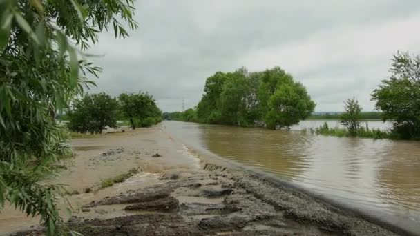 Inondazione dell'acqua di un uragano che inonda la campagna. Area di impatto con picchi di tempesta — Video Stock