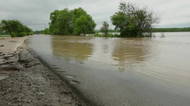 Eau d'inondation d'un ouragan inondant la campagne. Zone touchée par les ondes de tempête — Video