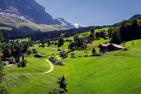 Panorama Picturesque Alpine Scene Chalets Vibrant Green Meadows Grindelwald Jungfrau — Stock Photo, Image