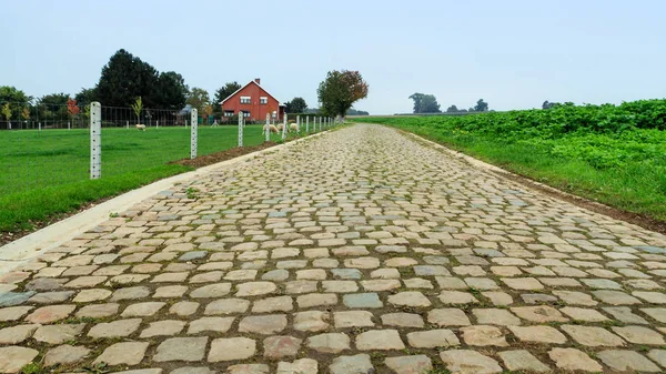 Pequeña Calle Empedrada Vacía Una Escena Agrícola Rural Flandes Bélgica — Foto de Stock