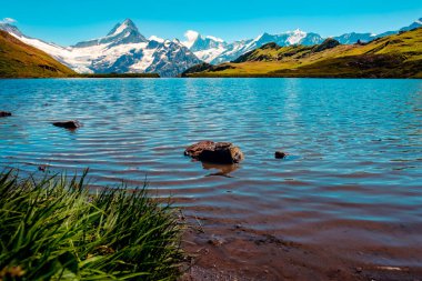 Arka planda Wetterhorn, Schreckhorn ve finsteraarhorn 'un kar kaplı zirveleri olan Bachalpsee Dağı manzarası. Grindelwald, Jungfrau bölgesi, İsviçre