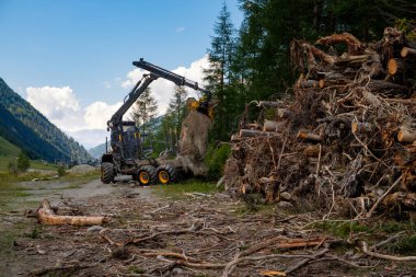 Zinal, Valais, İsviçre: Hidrolik kollu kereste makineleri kereste veya odun toplamak için kesilmiş ağaçları yüklüyor.