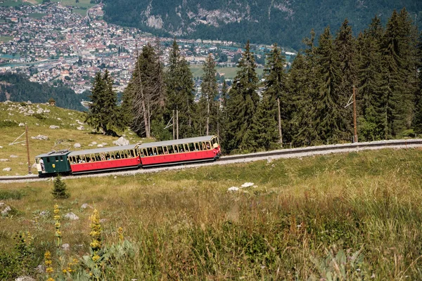 Schynige Platte Interlaken Schweiz August 2019 Touristenzug Klettert Von Wilderswil — Stockfoto