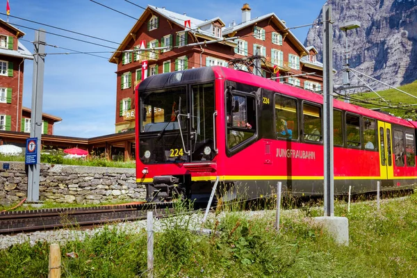 Kleine Scheidegg Berner Oberland Schweiz August 2019 Nahaufnahme Des Wedels — Stockfoto