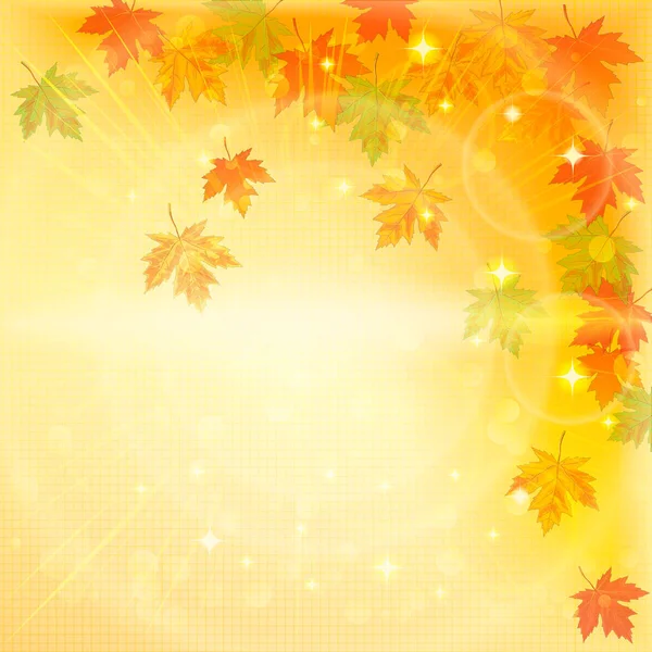 Herbst Hintergrund Mit Gelben Und Roten Blättern Vektorillustration — Stockvektor