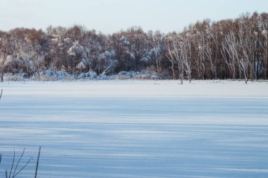 Karanlık bir orman arka planında donmuş göl manzarası