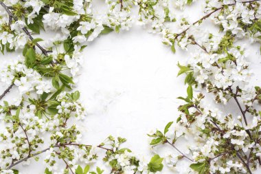 Işık taş zemin üzerine bahar çiçekleri kiraz ve metin için temiz daire. Düz yatıyordu, en iyi görünümü.