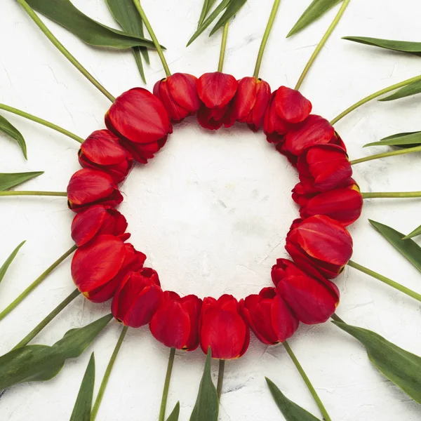 Red Tulips lined around on a light stone background. In the cent