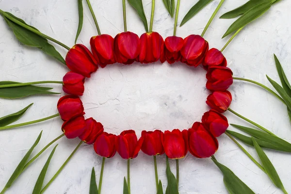 Red Tulips lined in the shape of an oval on a light stone background. In the center is copy space. Flat lay, top view.