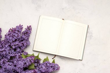 Açık günlüğü ve leylak beyaz taş zemin üzerine bir dal. Düz yatıyordu, en iyi görünümü.