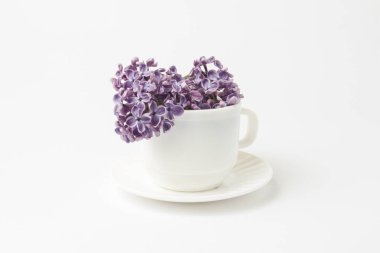 Leylak hafif bir arka plan üzerinde beyaz bir fincan güzel çiçekler. Üstten görünüm, düz, lay