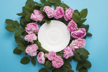 Pembe gül, mavi bir arka plan üzerinde beyaz bir daire etrafında sıralanır. Düz yatıyordu, en iyi görünümü.