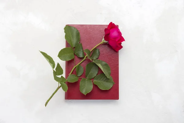 Red rose on a book with a red cover on a light stone background. The concept of romantic literature. Flat lay, top view.