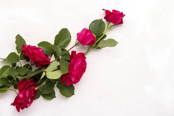 Красные Розы Светлом Каменном Фоне Плоский Вид Сверху — стоковое фото