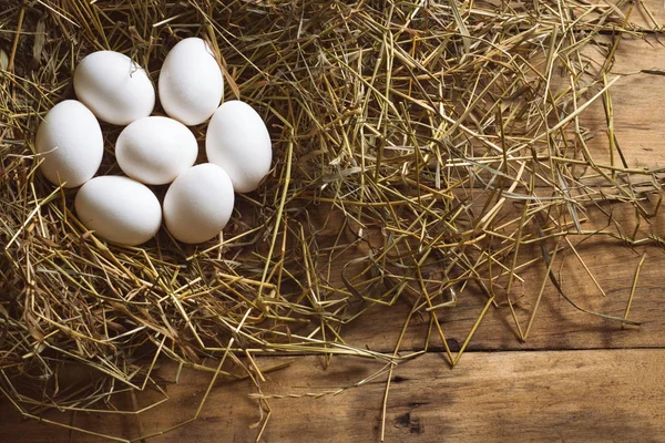 Fehér Csirke Tojás Széna Háttér Mezőgazdasági Termék Fogalmának Másolja Hely — Stock Fotó