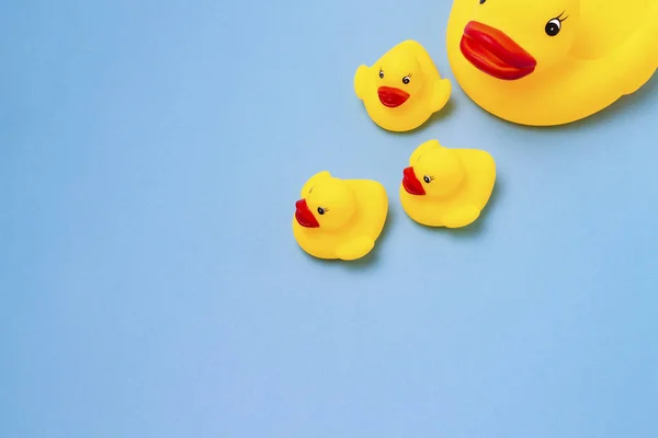 Rubber toy of yellow color Mama-duck and small ducklings on a blue background. The concept of maternal care and love for children, the upbringing and education of children.