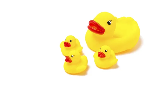 Mainan Karet Berwarna Kuning Ibu Bebek Dan Bebek Kecil Dengan — Stok Foto