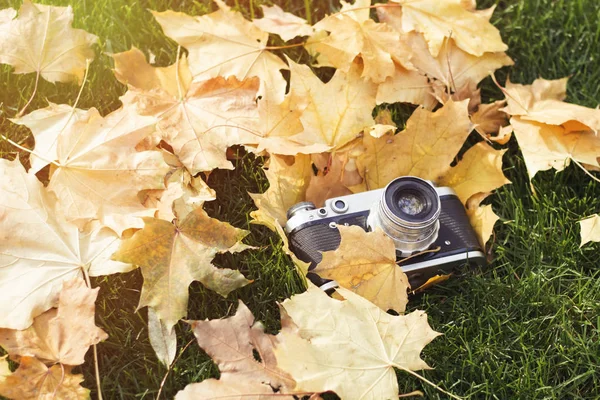 Retro Kamera Auf Dem Rasen Mit Gelben Herbstblättern Konzept Des — Stockfoto