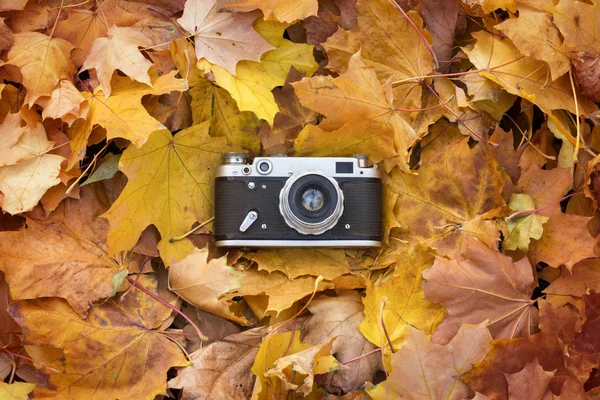 Retro Kamera Liegt Auf Den Gelben Herbstblättern Konzept Des Herbstbeginns — Stockfoto