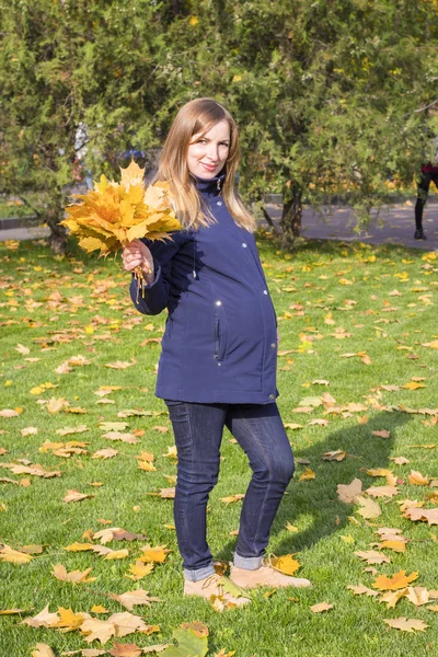 Schwangere Junge Mädchen Hält Gelbe Herbstblätter Herbstpark Den Händen — Stockfoto