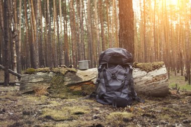 Turist sırt çantası, ormanda metal bardak. Ormana ya da dağlara yürüyüş yapma kavramı.