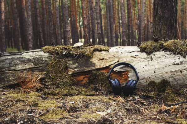 Los Auriculares Encuentran Cerca Árbol Caído Cubierto Musgo Setas Bosque — Foto de Stock