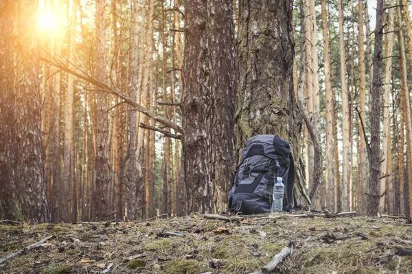 Tourist backpack and a plastic bottle of water are standing by the tree in the forest. Concept of a hiking trip to the forest or mountains.