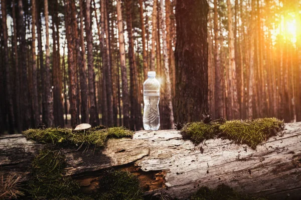 Wasserflasche Aus Plastik Steht Bei Sonnenuntergang Auf Einem Gefällten Baumstamm — Stockfoto