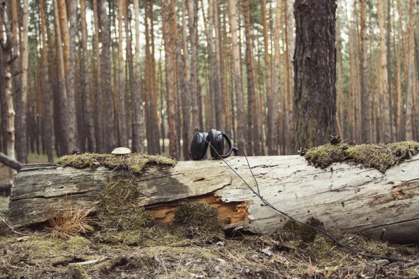 Kopfhörer Auf Einem Umgestürzten Baum Mit Moos Und Pilzen Einem — Stockfoto