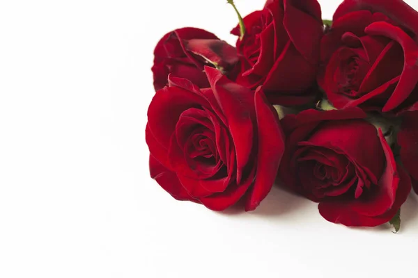 Bukett Röda Rosor Vit Bakgrund Begreppet Romantisk Gåva Till Älskad — Stockfoto