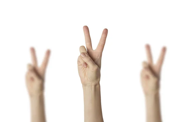 Жінки Підняли Руки Показали Жест Миру Двома Піднятими Пальцями Білому — стокове фото