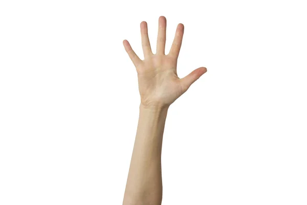 Weibliche Handfläche Auf Weißem Hintergrund Stopp Geste Konzept Stoppt Jemanden — Stockfoto