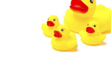 Kauçuk oyuncak sarı renk anne ördek ve beyaz bir arka plan üzerinde küçük ördek yavrusu. Anne bakım ve çocuklar için aşk kavramı.