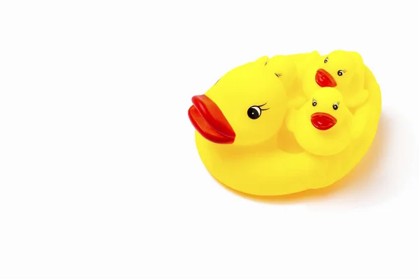 Brinquedo Borracha Cor Amarela Mãe Pato Pequenos Patinhos Fundo Branco — Fotografia de Stock