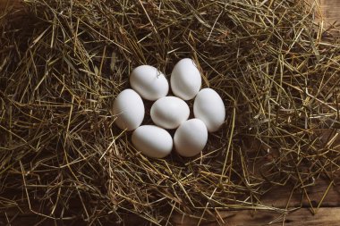 Bir saman ahşap zemin üzerinde beyaz tavuk yumurtası. Çiftlik ürün kavramı. Düz yatıyordu, en iyi görünümü.